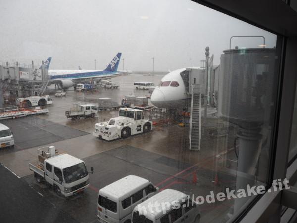 旅の写真／まさかの東京が台風でしたが無事出航