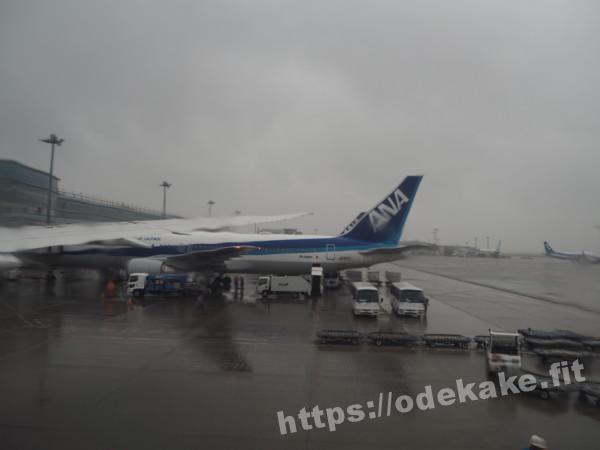 旅の写真／まさかの東京が台風でしたが無事出航