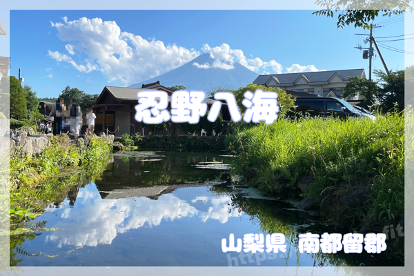 アイキャッチ/2023/7山中湖 忍野八海