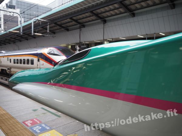 旅の写真（東北新幹線E5系はやぶさ）