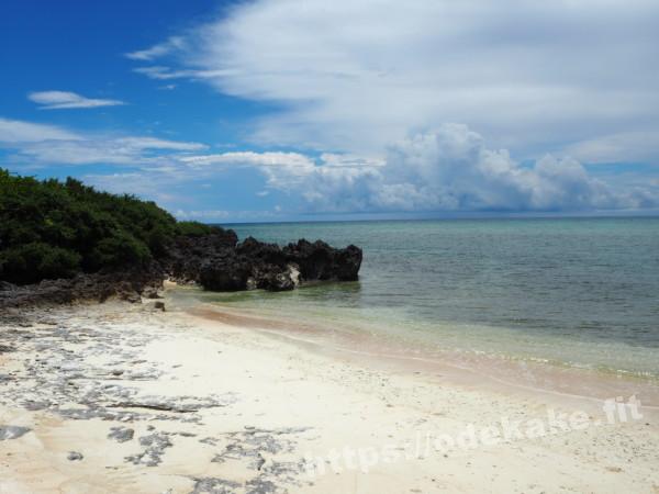 旅の写真(浜シタン群落のプライベートビーチ)