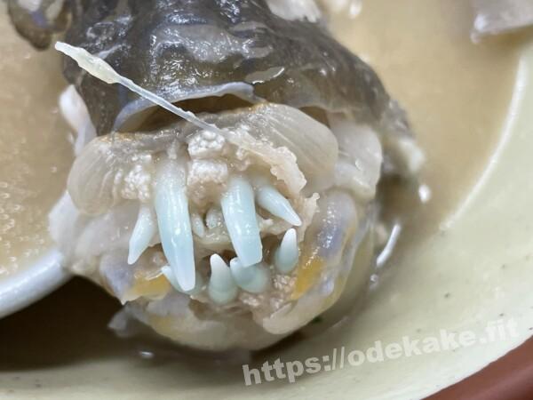 第一牧志公設市場の写真／マクブの鋭い歯