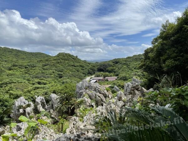 2021.5沖縄本島＠やんばる国立公園大石林山