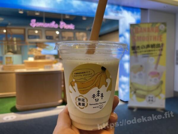 2021.5サマンサピクニック/羽田空港