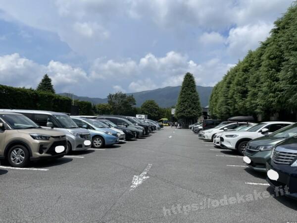 2024/8箱根 彫刻の森美術館