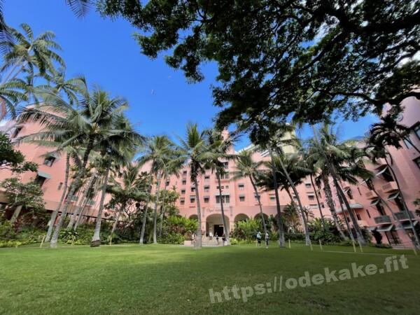 2022/6 ココナッツ・グローブ@ロイヤルハワイアンホテル