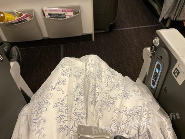 2022/7 JAL普通シート@JALボーイング767-300ER(763)