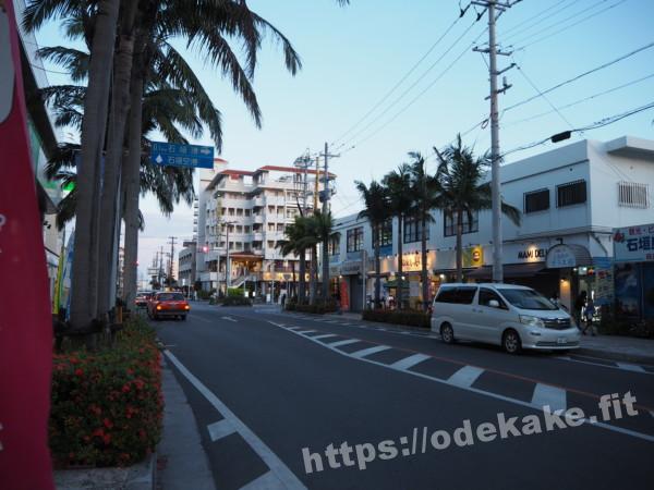 旅の写真(石垣市街地)