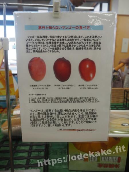 旅の写真／JAゆらてぃく市場の張り紙「マンゴーの食べ方」解説