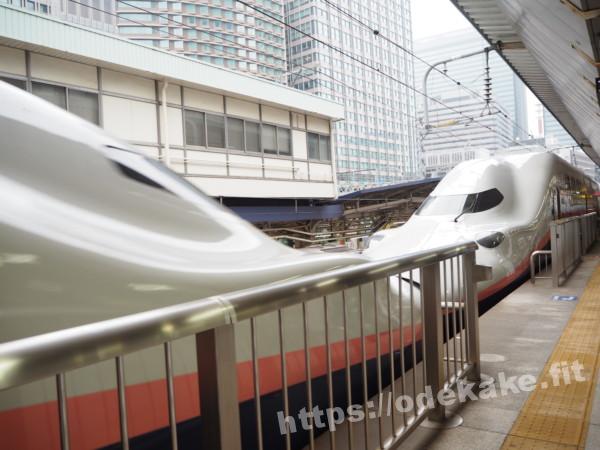旅の写真（東京駅のMAXとき）