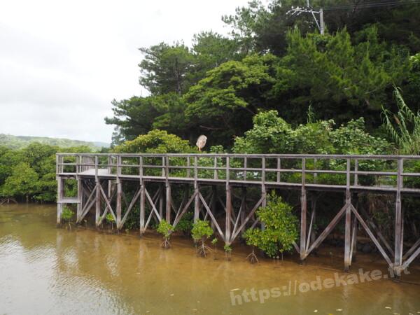 2021.5沖縄本島@やんばる国立公園/慶佐次湾/東村ふれあいヒルギ公園