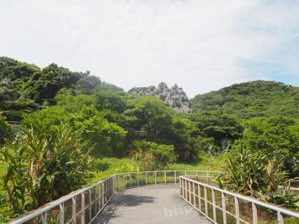 2021.5沖縄本島＠やんばる国立公園大石林山