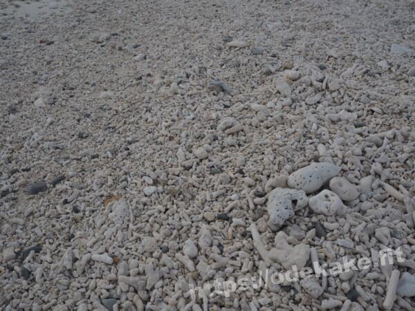 旅の写真／阿嘉島のメーヌ浜（前浜ビーチ）の砂浜は珊瑚多め