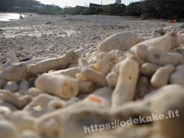 旅の写真／珊瑚の山から撮る阿嘉島のメーヌ浜（前浜ビーチ）