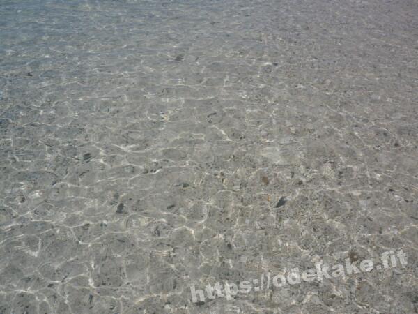 旅の写真／昼の阿嘉島のメーヌ浜（前浜ビーチ）のクリアな海