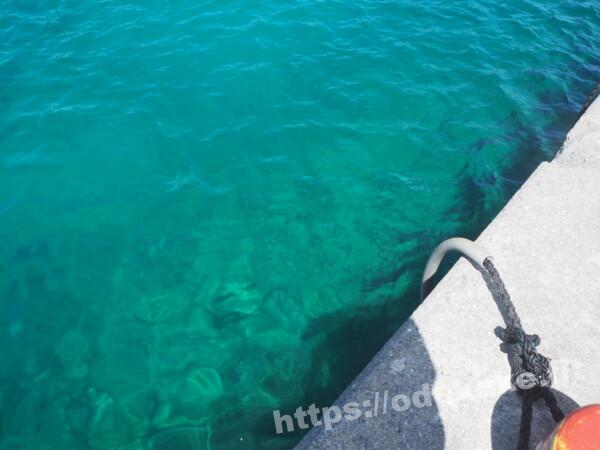 旅の写真／阿嘉島の港の海の色