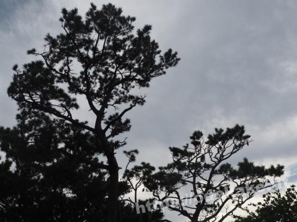 旅の写真／阿嘉島の天城展望台