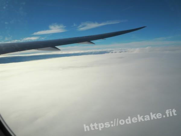 旅の写真／東京が台風でしたが雲の上に行くと穏やか