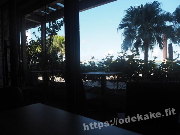 旅の写真／石垣島のブルーカフェの窓からの景色