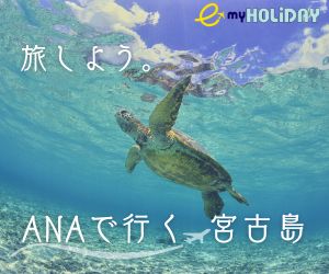 ANA沖縄ツアー　TAGメニュー広告