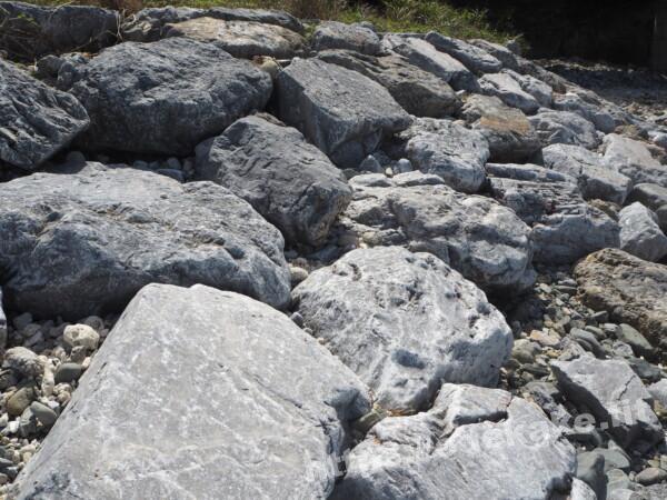 旅の写真／慶留間島の阿嘉大橋の下のビーチの岩