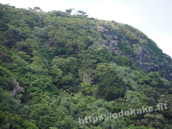 旅の写真／慶留間島の岩山の岩肌