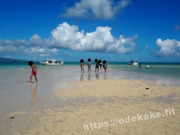 旅の写真／幻の島「浜島」を楽しむ人々
