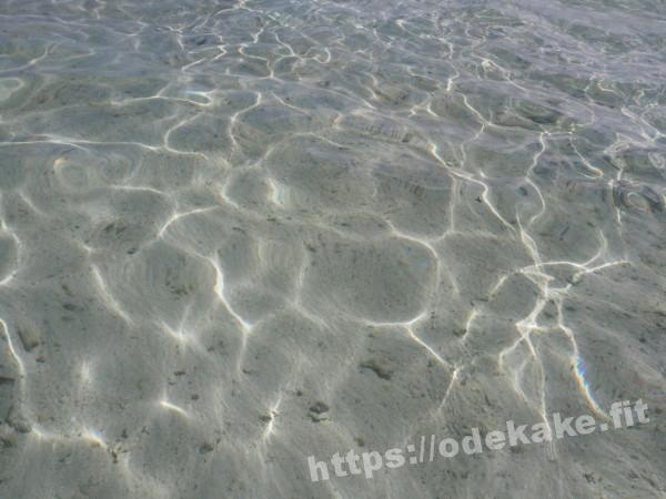 旅の写真／幻の島「浜島」の透明度の高い海