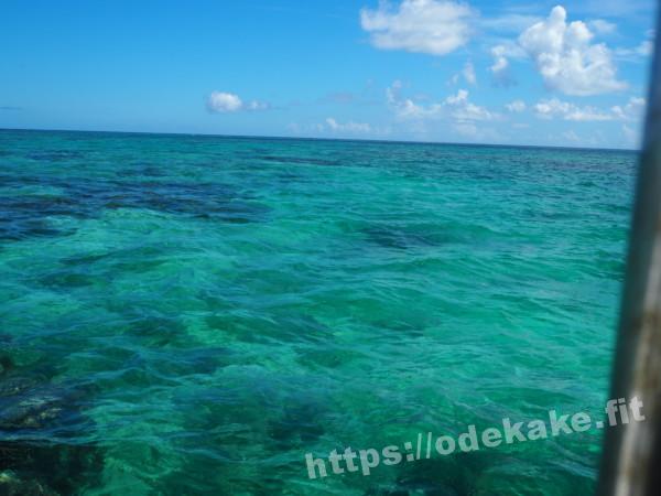 旅の写真／船から見た石西礁湖の海。めちゃくちゃ綺麗です。