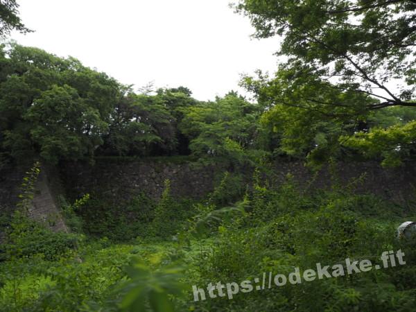 旅の写真（名古屋城のお堀沿い）
