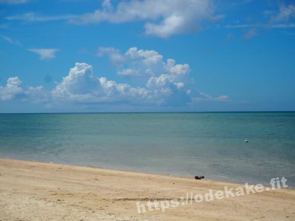 旅の写真／小浜島のコーラルビーチの風景