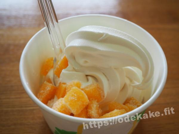 旅の写真／おけさ柿のソフトクリーム