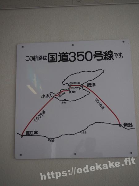 旅の写真／航路地図「この航路は国道350号線です」