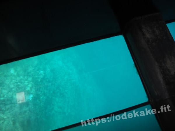 旅の写真／グラスボートから見える尖閣湾の岩