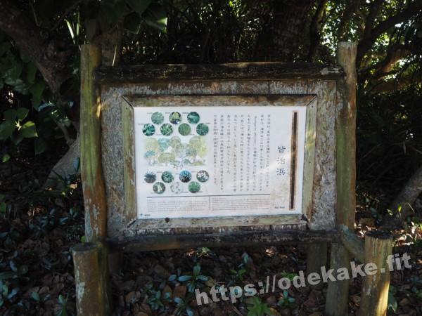 旅の写真／竹富島の星砂浜（皆治浜）の看板