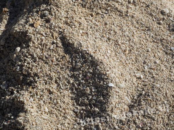 旅の写真／竹富島の星砂浜（カイジ浜）の星の砂が見つかる砂浜